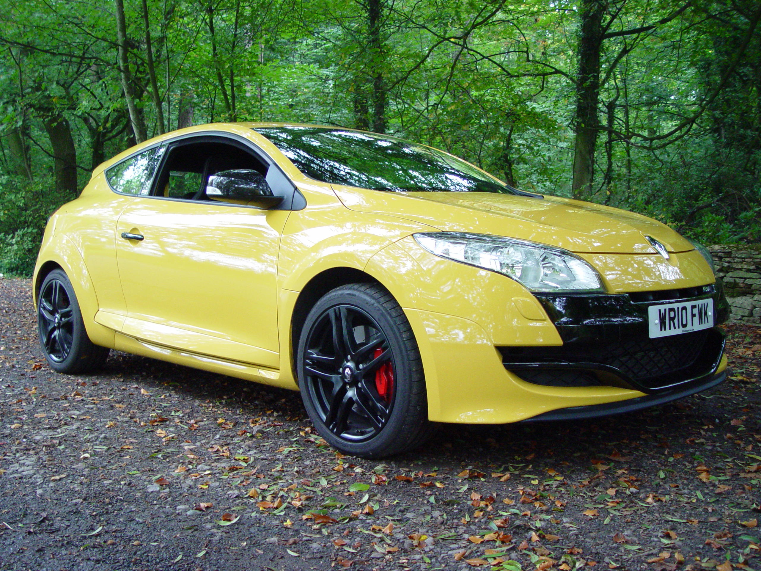 Megane 250RS certainly looks the part