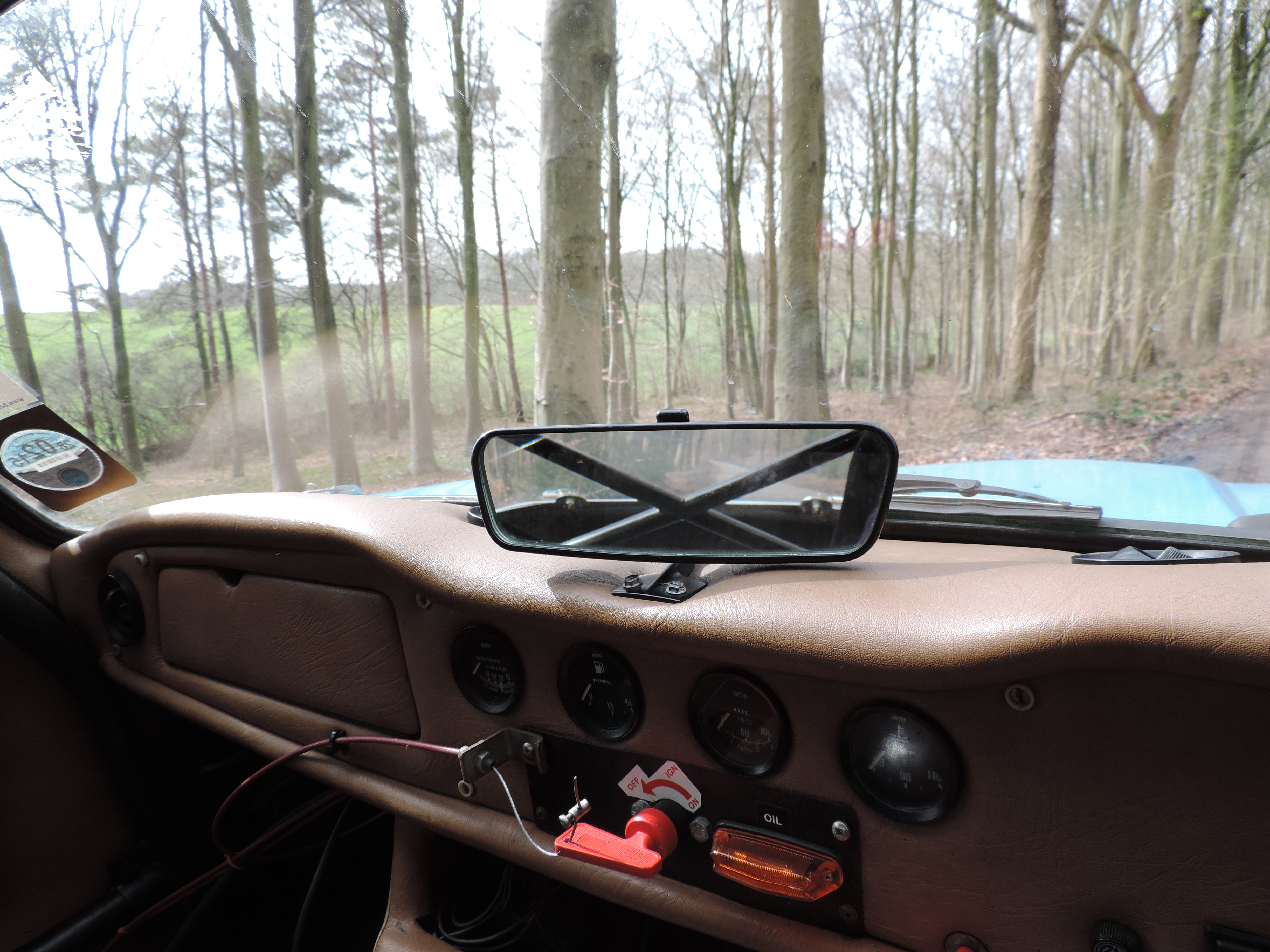 Roll cage in rear view mirror