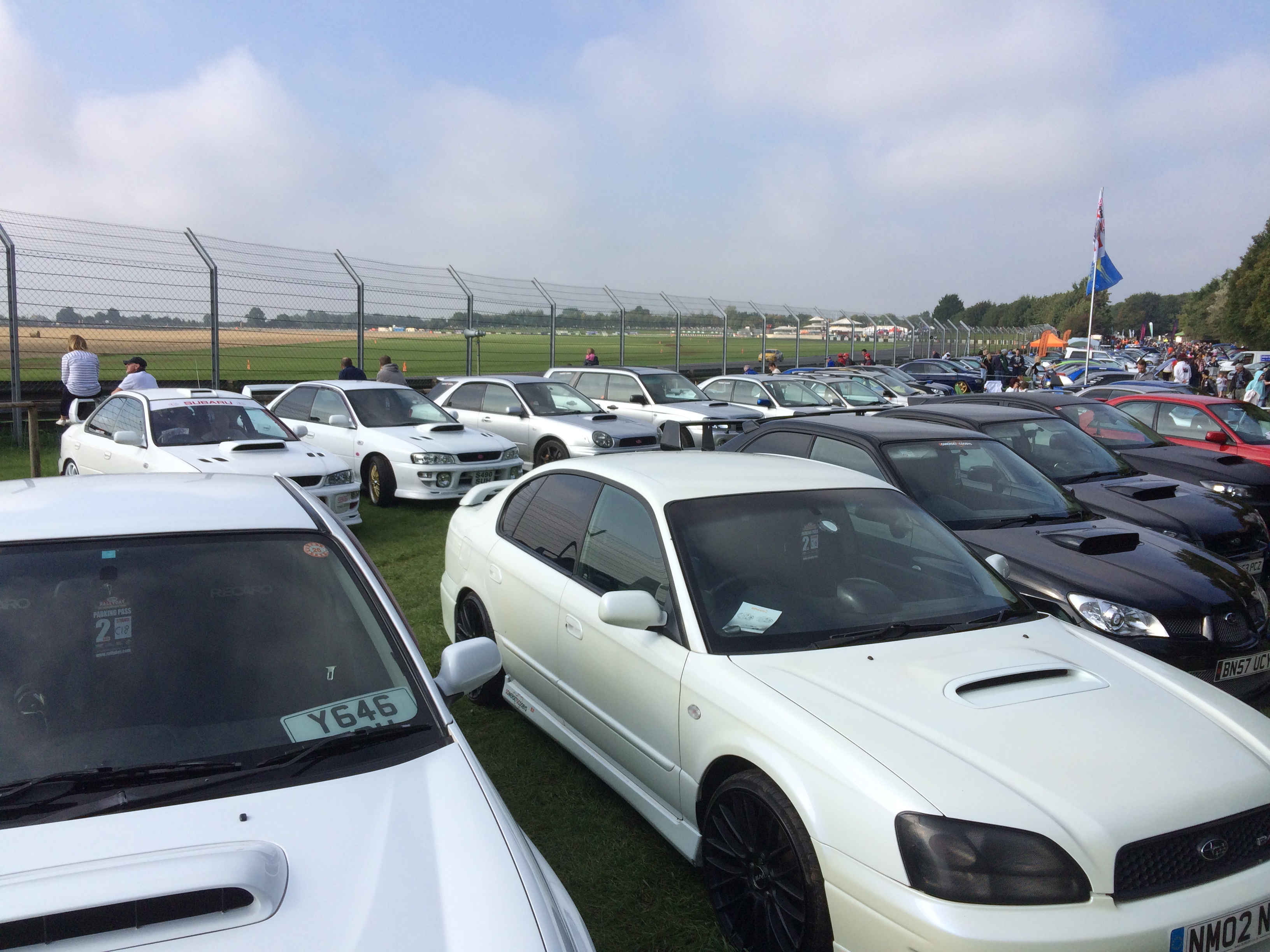 A sea of Subarus